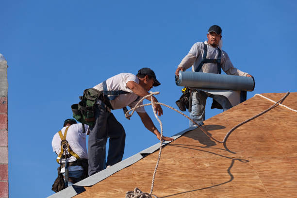 Best Metal Roofing Contractor  in Chula Vista, TX