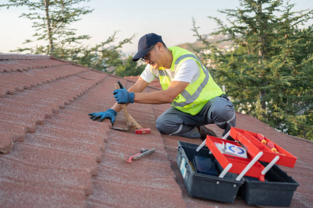 Professional Roofing Contractor in Chula Vista, TX