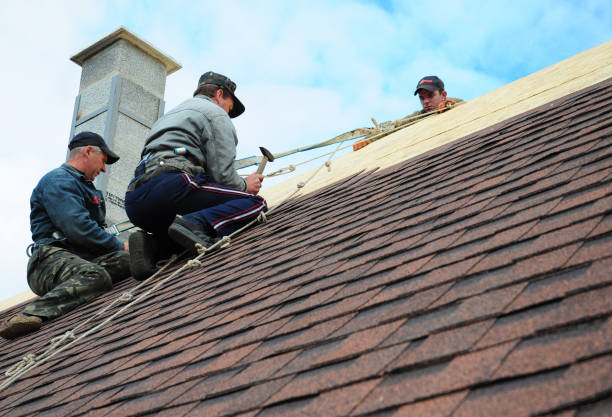 Best Shingle Roofing Installation  in Chula Vista, TX