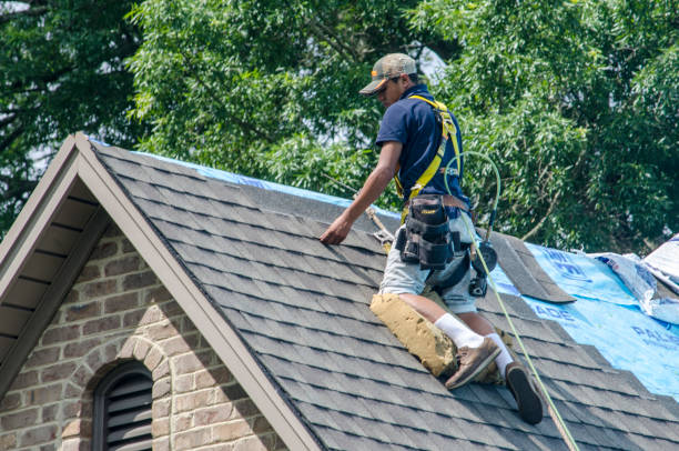 Best Roof Waterproofing Services  in Chula Vista, TX